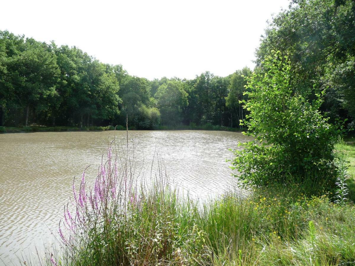 Ferme Des Poulardieres Crouy-sur-Cosson Kültér fotó
