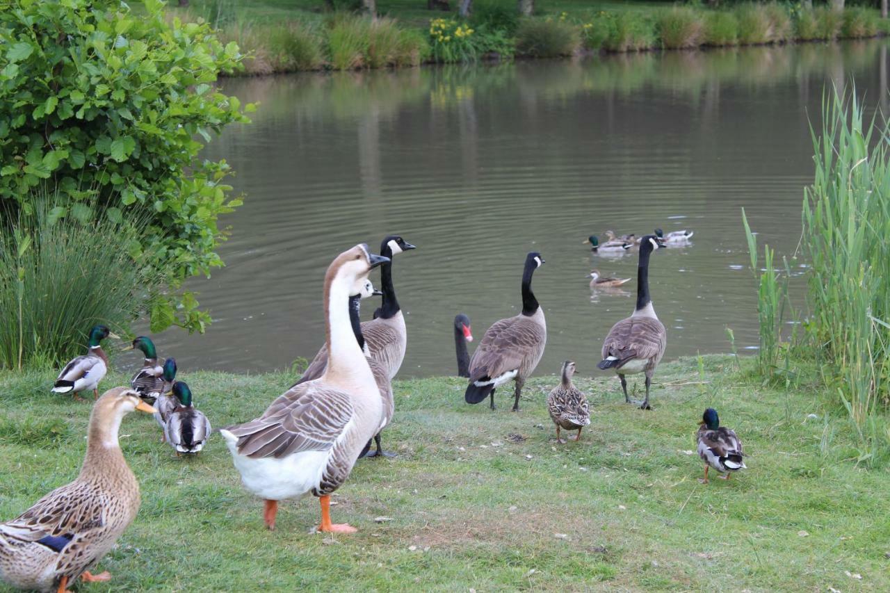 Ferme Des Poulardieres Crouy-sur-Cosson Kültér fotó